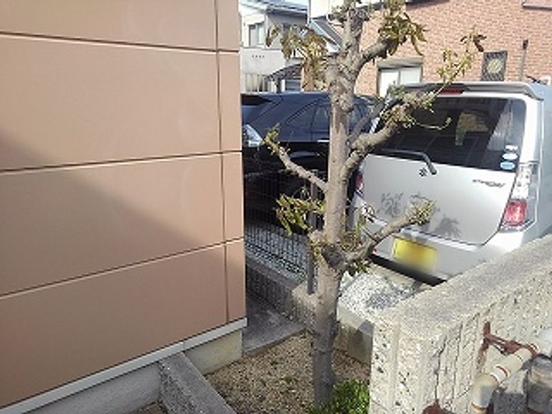 レオパレスＭＥ 駐車場