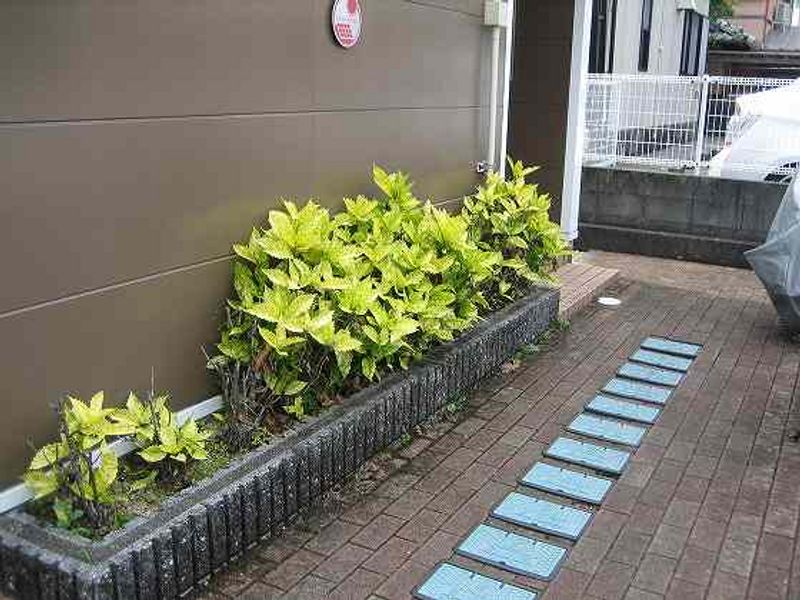 レオパレスＫサンハイム 共用部分