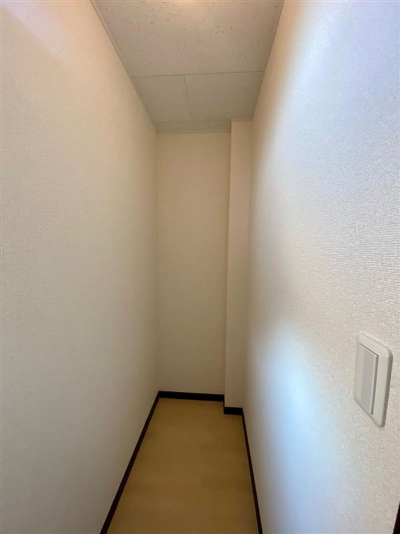 LEONEXT Hackberry Other