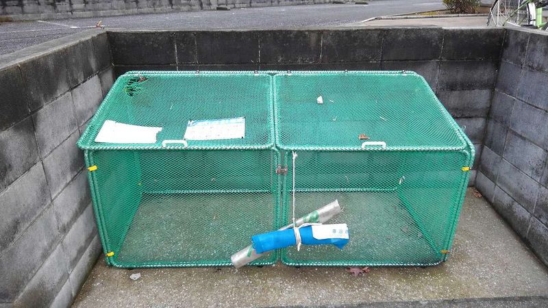 レオパレスサナロＡ 共用部分