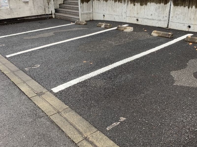 レオネクストパラティーノ 駐車場