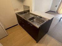 レオネクストディアス セキュリティ