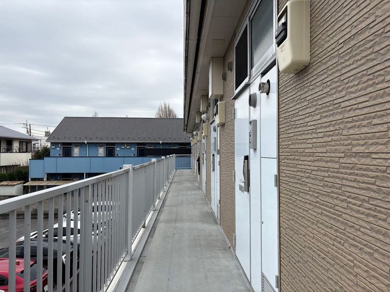 leopalace Fried 기타