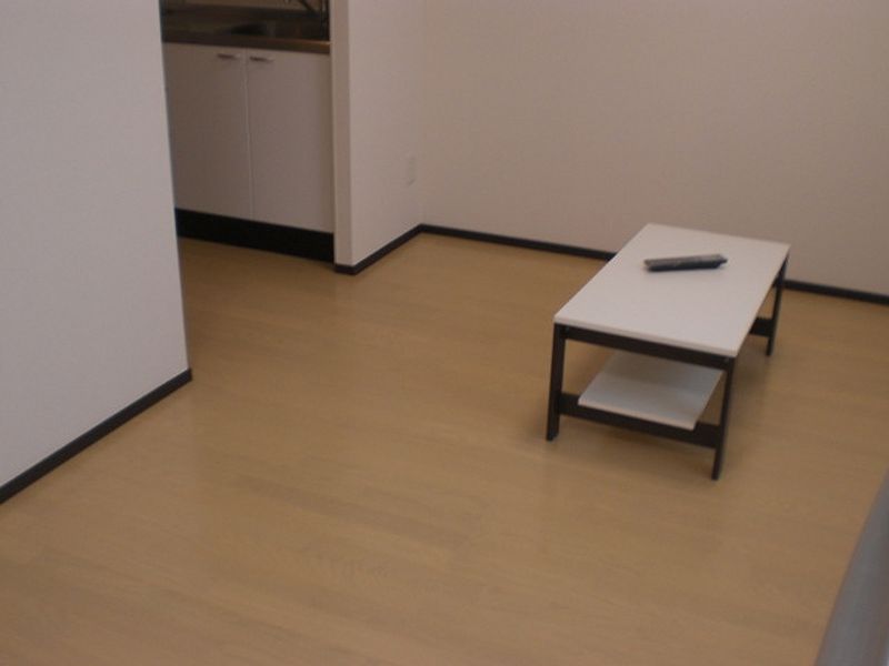 レオネクストエトワール要町 居間