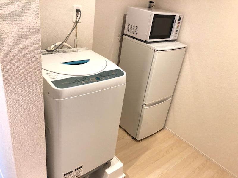 CLEINO T Shirasagi 기타