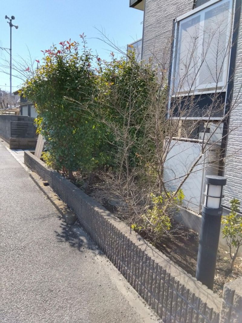 レオパレス角 庭