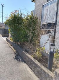 レオパレス角 庭