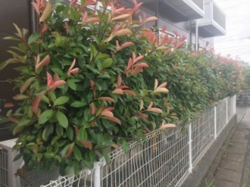 レオパレス小郡南 その他