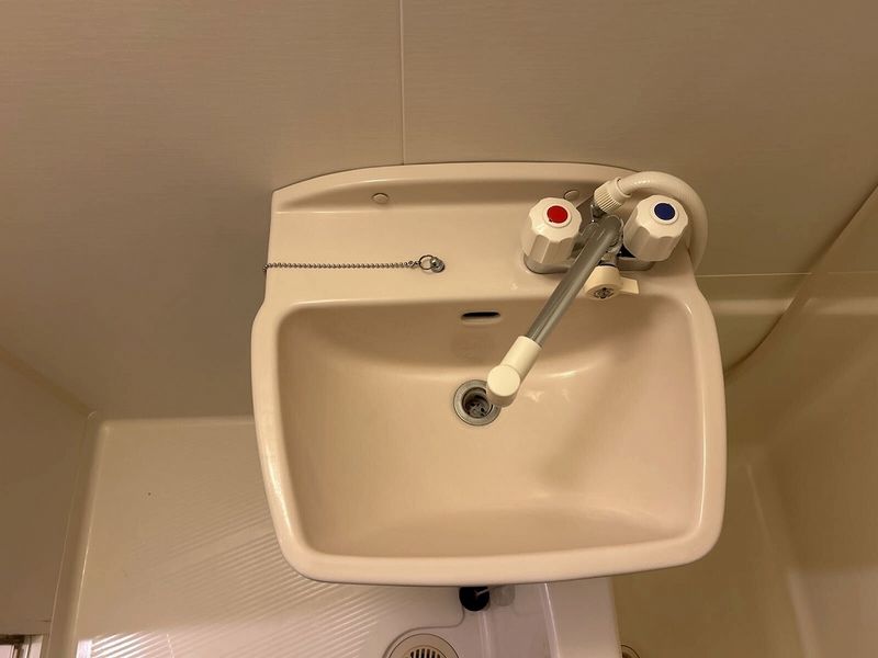 leopalace Raisin Sink