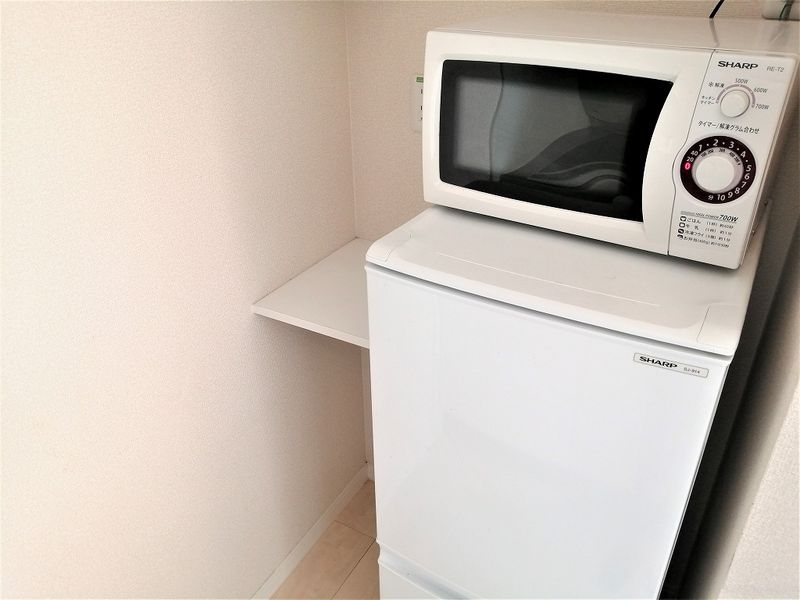 レオネクストカメリアレインⅢ その他