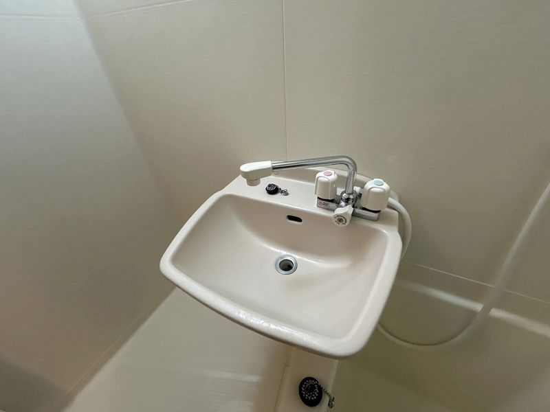 leopalace Big Hello Sink