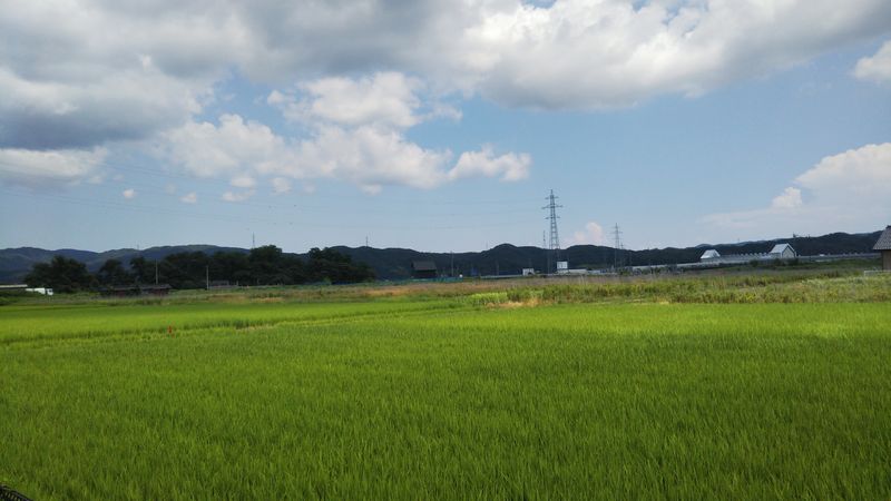 レオパレスハイツハレルーヤ 眺望