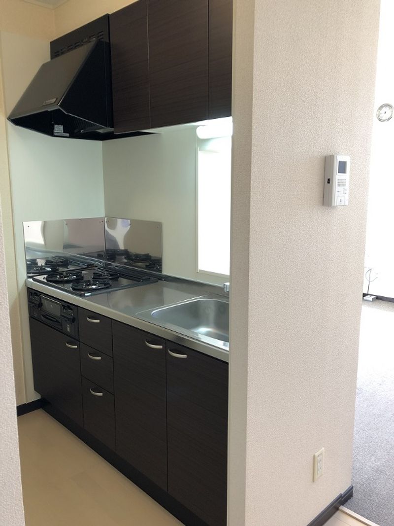 LEONEXT Amy III Khác