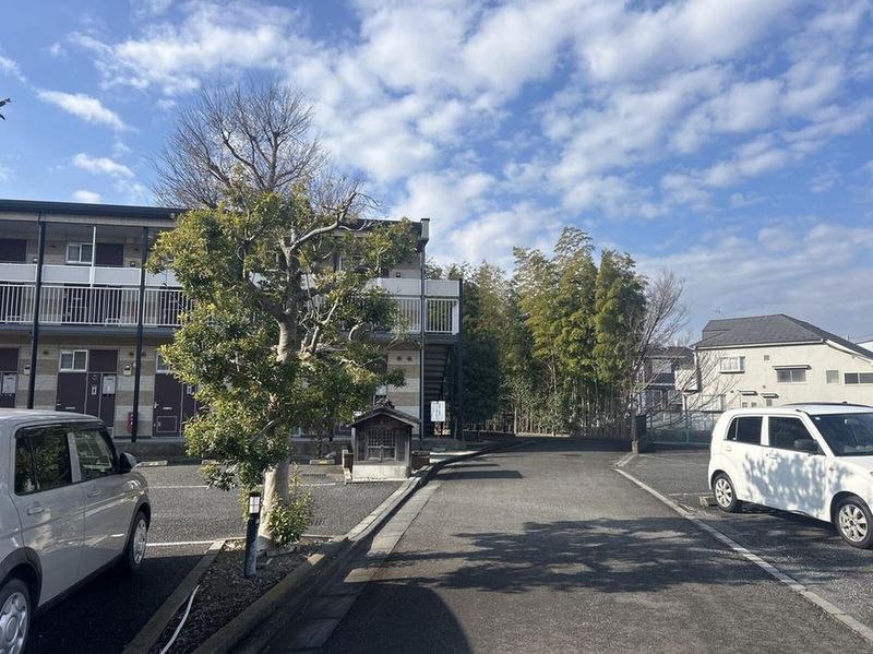 leopalace Pinus Tầm nhìn