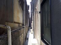 レオネクストオレンジ その他