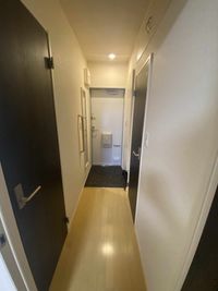 ミランダブルーアゼリア その他
