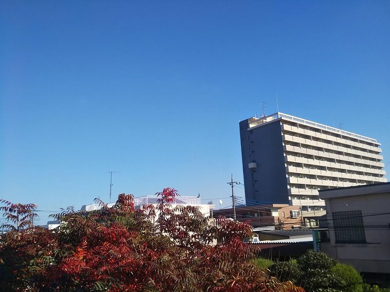レオパレスコートハウス南平Ｃ 眺望