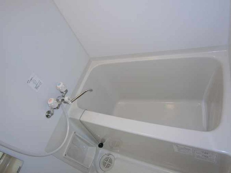 LEONEXT Sunlight House Bathroom