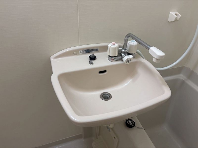 leopalace Dandelion Bồn rửa mặt