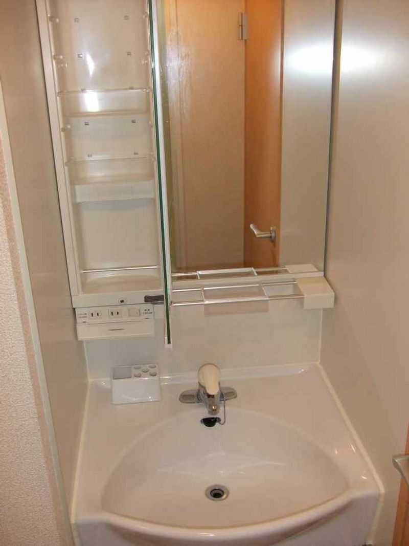 レオネクストサングリーン経堂 洗面台