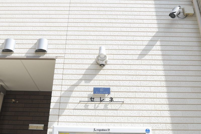 CLEINO Serene Security