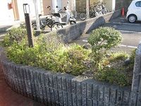 レオパレスＴＯＳＡ 共用部分