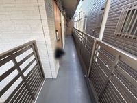 CLEINO Shirafuji Khác