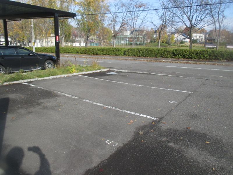 レオネクストマルコウ 駐車場