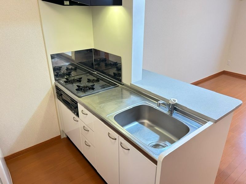 レオパレスエテルナたかせ キッチン