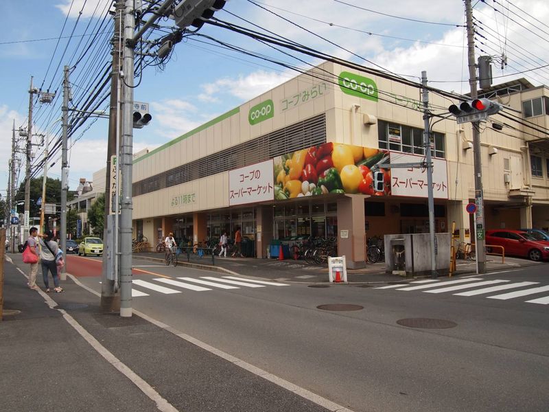 レオネクストトゥリーベル 周辺環境