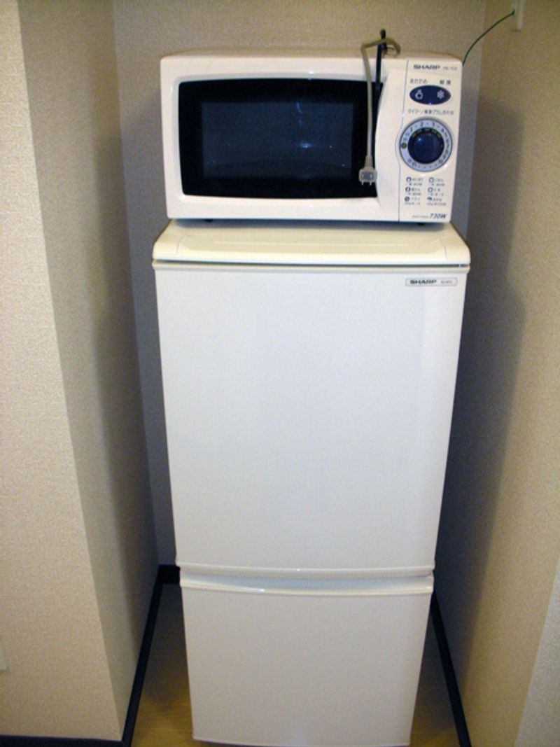 レオネクストきよみず扇 その他