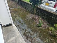 レオパレスジュネス紫原 バルコニー