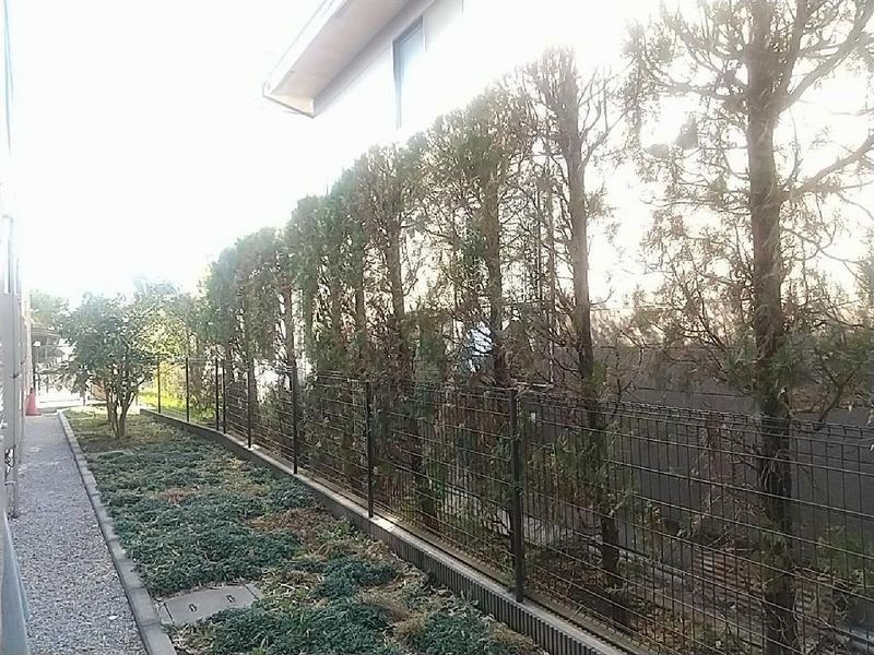 クレイノアーカス 眺望