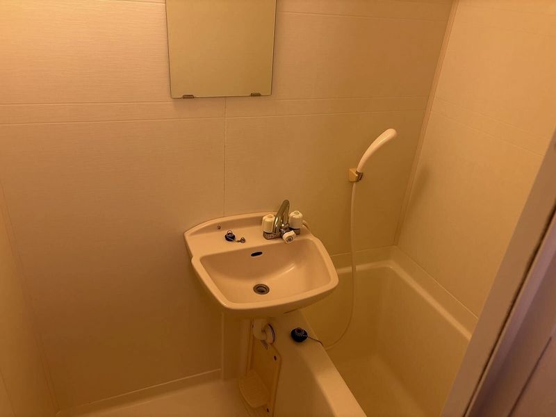 leopalace Saison Sink