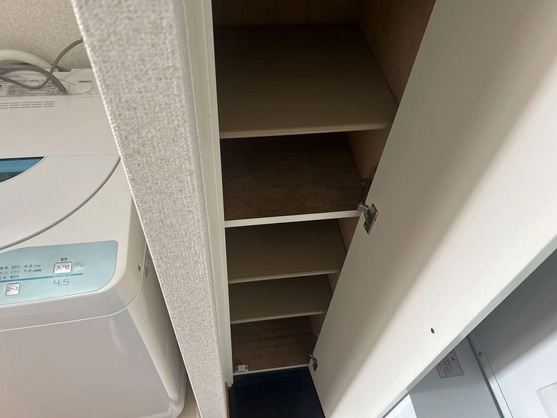 レオパレスピーヌス その他