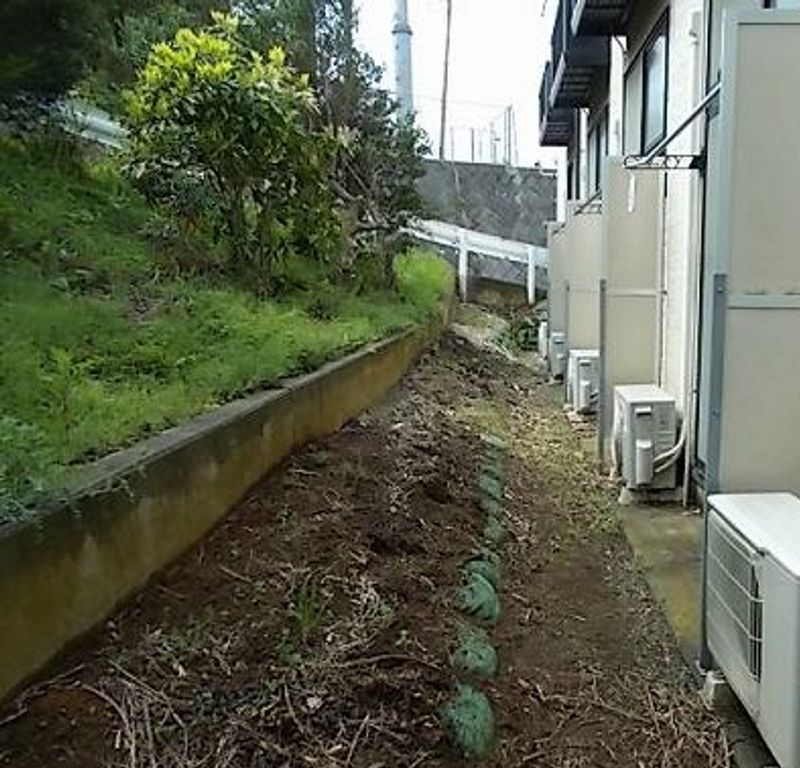 レオパレスモアⅡ 庭