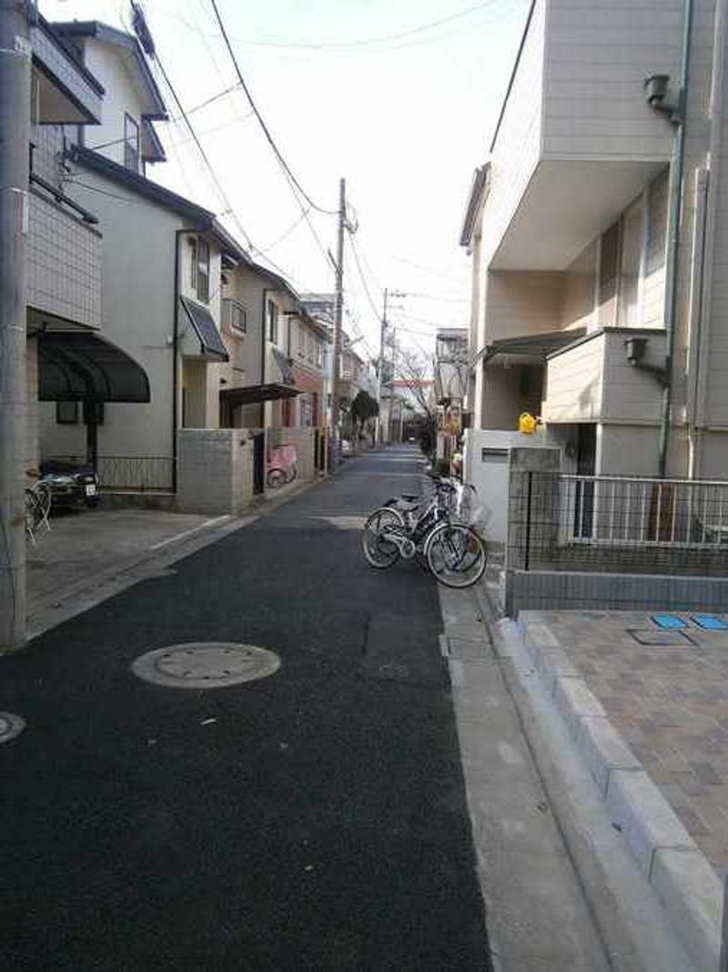 レオネクストライクヒストリー その他