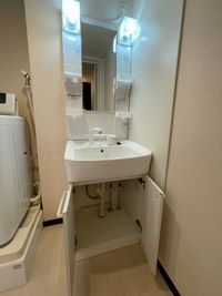 レオネクストコンコルディア 洗面台
