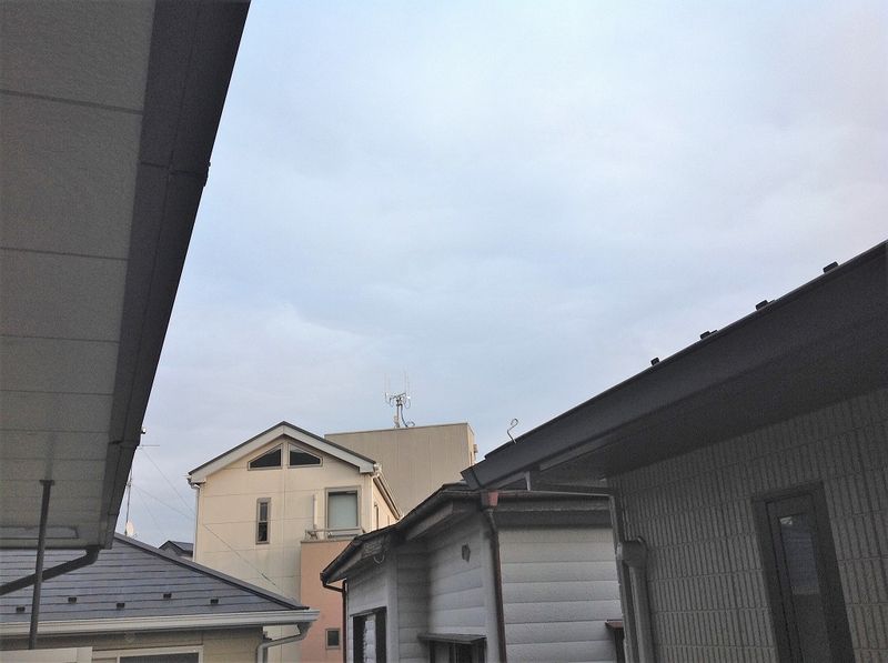 レオネクストレジスター本郷 眺望
