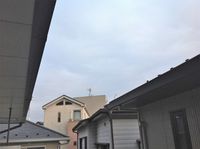 レオネクストレジスター本郷 眺望