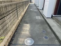 レオネクスト白仙 その他