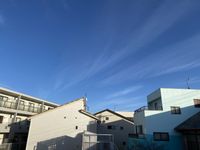 CLEINO SHINONOME View