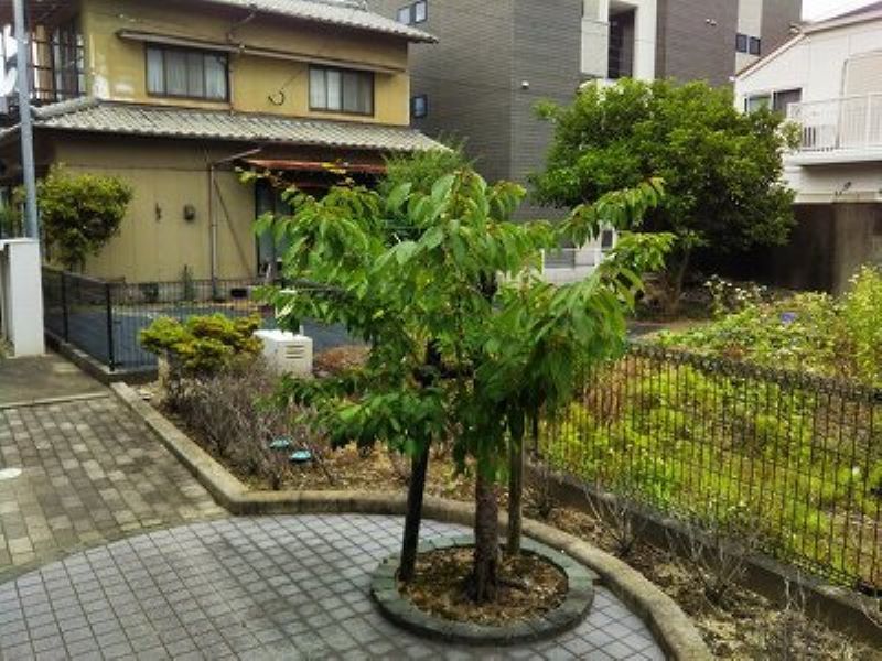 レオパレスハイライフ その他