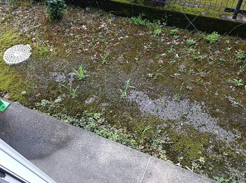 レオパレスのあ バルコニー