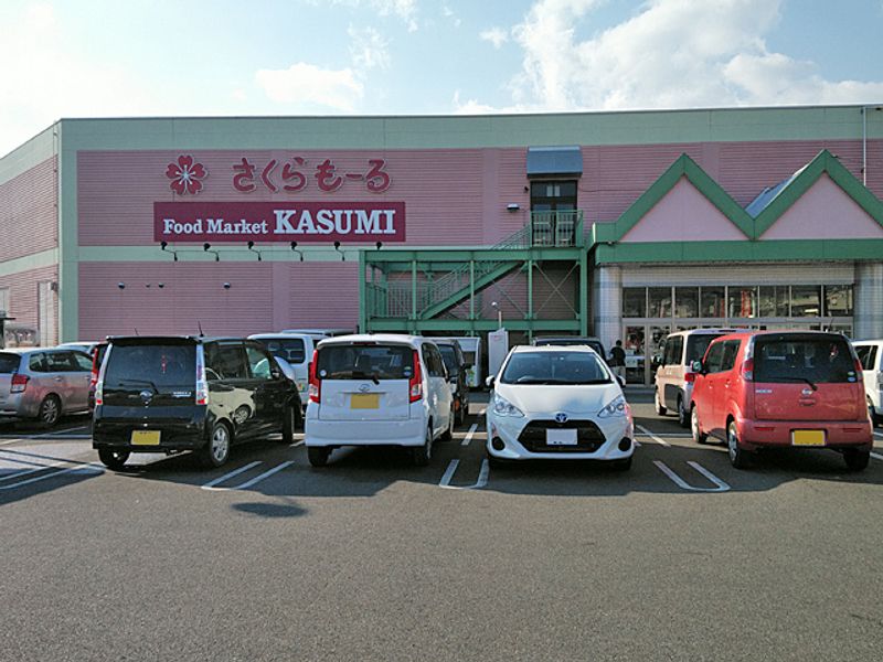 レオパレスラフィーネＡ 周辺環境