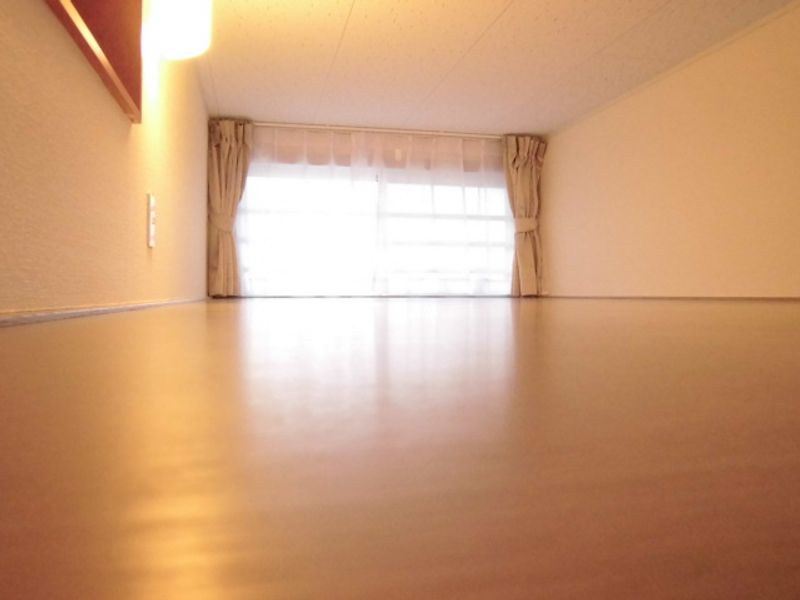 leopalace Flamingo 기타