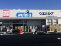 レオネクストホワイトバーチⅡ 周辺環境