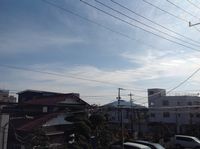 レオネクストリモーネ７ 眺望
