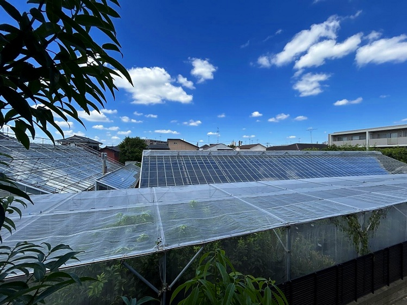 leopalace Roka Kouen I 视野