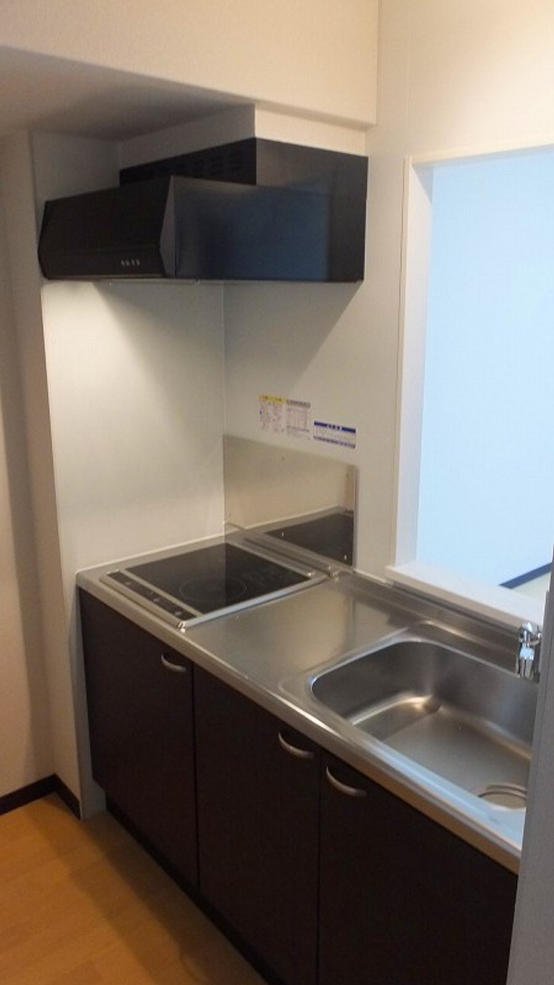 LEONEXT Crest Tenjin Kitchen